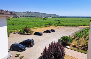 Chez Florence Ammerschwihr - Foto 30