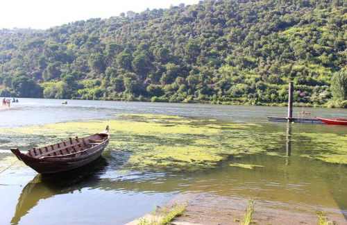 Peaceful villa in São Martinho de Mouros with private pool - Foto 26