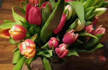 Schnuckliges wohnen - Foto 9