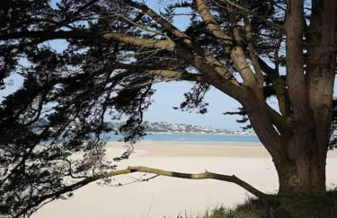 La p’tite maison de locqui - Photo 26