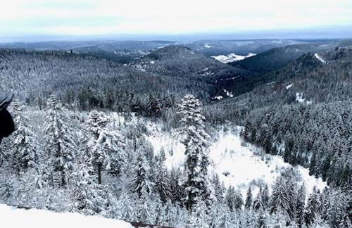 2 Zi Ferienwohnung mit schöner Aussicht und mit Balkon bis zu 5 Personen in Loßburg, Schwarzwald - Foto 21