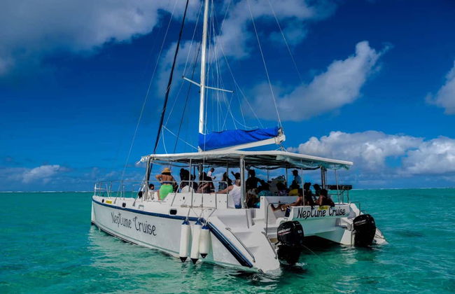 Escursione all'Isola dei Cervi - Foto 5