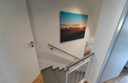 Strandkrabbe - Foto 28