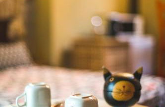 Caserío da Castiñeira - Foto 11