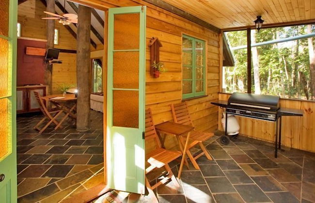 Rainforest Ranch - Photo 5