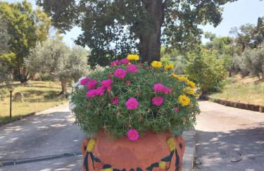 La Selvarella - Foto 24