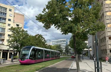 Bel appartement spacieux , lumineux, proche Dijon centre auditorium - Foto 29