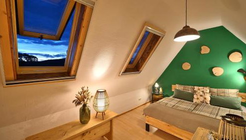 Green Loft Schwarzwald - Dach-Balkon--Musik-Ecke - Foto 3