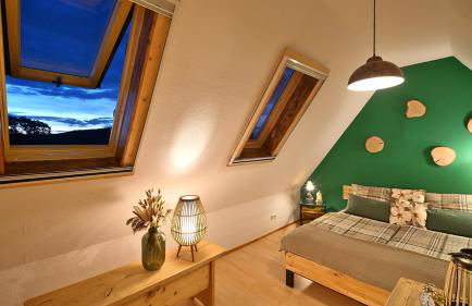 Green Loft Schwarzwald - Dach-Balkon--Musik-Ecke - Foto 18