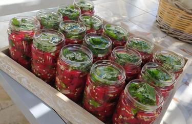 La Cuccuvascia pool house by LoveSud - Foto 36