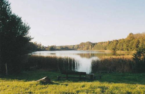 Gemütliche Ferienwohnung, separater Eingang - Foto 10
