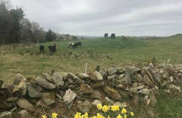 Rockschapel Cabin 30B - Photo 19