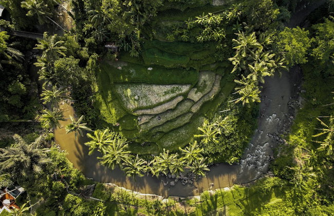 The Ridge Bali - Foto 21