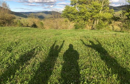 Apartamentos Sierra - Photo 21