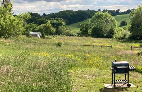 The Shepherd's Hut with cozy logburner - Foto 35