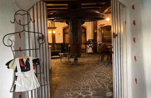 Mühlenurlaub Südheide - Foto 20