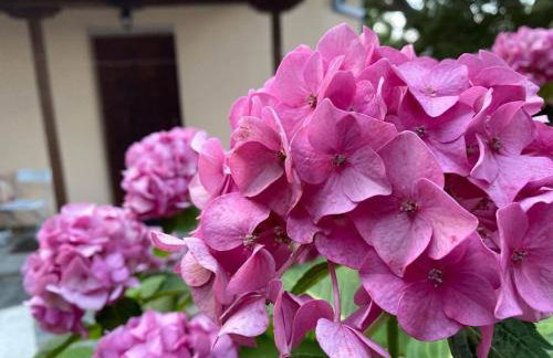 Sweet Home Kerasias - Foto 21