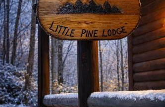 Little Pine Lodge a Smokies Hideaway - 1 mi to GSMNP - King Suite & Loft, Fireplace, Hot Tub & BEARS! - Foto 8