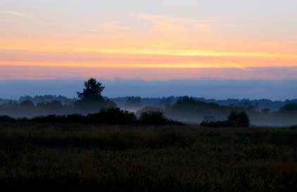 Słowińskie Widoki domki Flora, Fauna, noclegi Smołdziński Las - Foto 54