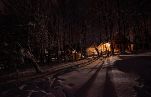 Nadleśniczówka - Bieszczadzka Zagroda - Foto 55