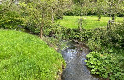 Wellness-Ferienhaus mit Dampfbad & Sauna am Nürburgring - Foto 31