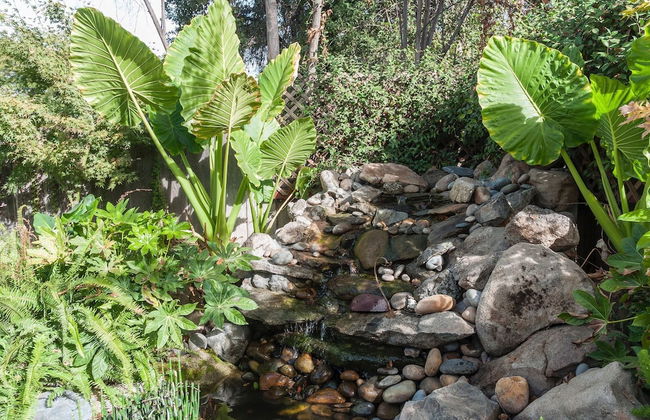 Large Groups Sequoia Park, CA Coast Wineries, Skiing. Enjoy Fire Pit, Hot Tub, Outdoor Kitchen - Foto 27