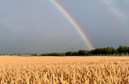 Ferienwohnung Kranichnest - Foto 63