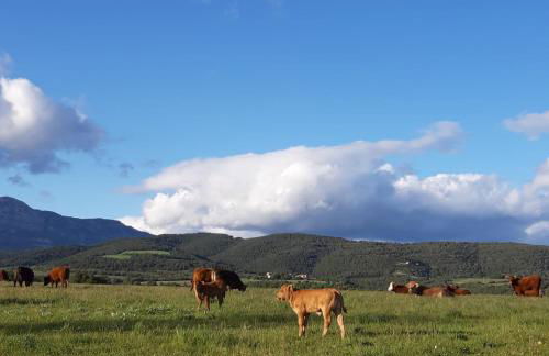 Les Cases De Borrells - Photo 6