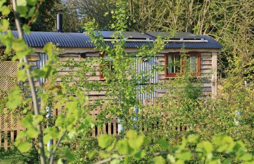 Oskar's Shepherd's Hut at Snug Hollow - Foto 18