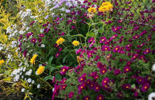 Radawnica pl - Tu odpoczniesz! - Foto 57