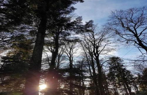 Ferienwohnung, Zenting - Foto 55