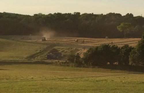 Gite Du Colombier - Foto 41