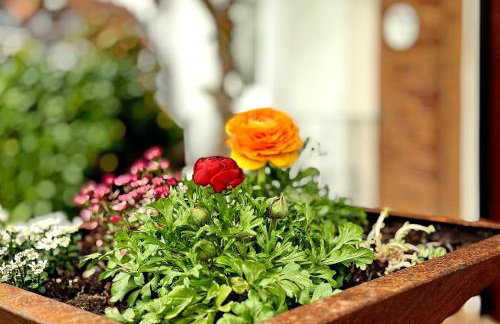 Obst- Und Ferienhof Marschall - Foto 5