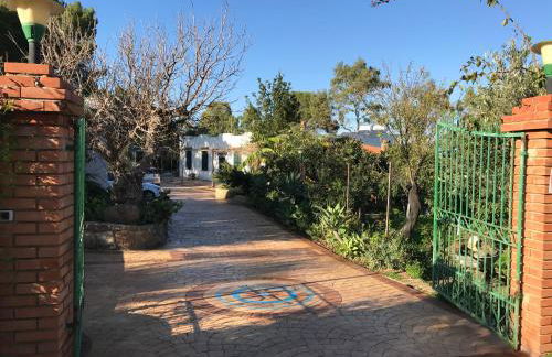 Casa Bianca Rais Gerbi - Foto 39