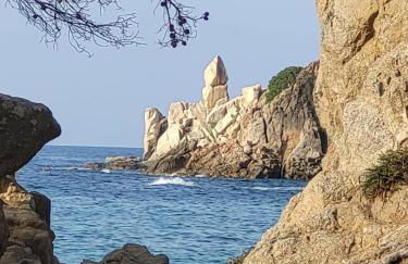 Apartment with garden and sea view Santa Cristina Blanes - Foto 66