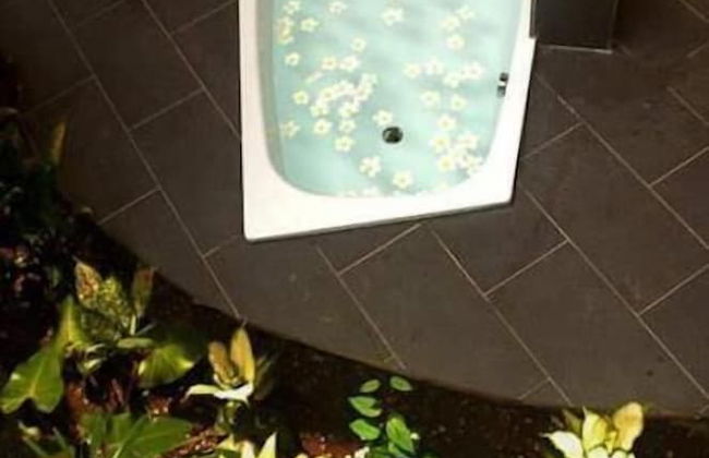 Vanuatu Uncharted Sport Fishing Lounge - Foto 13