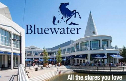 Deluxe Cabin wrapped by nature - Photo 9