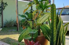 Casa Marias - Foto 15