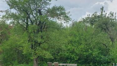 Traumberg - Foto 5, Garden