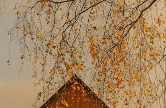 Wolne Domy - Foto 52