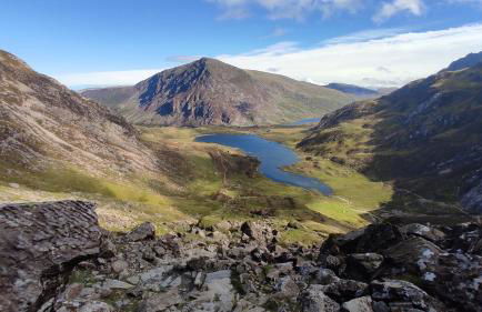 Little Kestrel Cabin - Photo 42