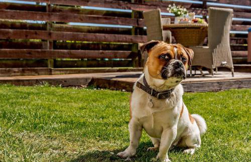 2 Bed in Holyhead oc-81515 - Foto 16