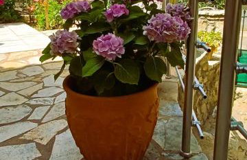 The Cottage in Eva - Foto 7