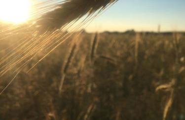 Annemarie Zerpenschleuse - Schwedenhaus mit Künstler-Charme und Sauna - Photo 25