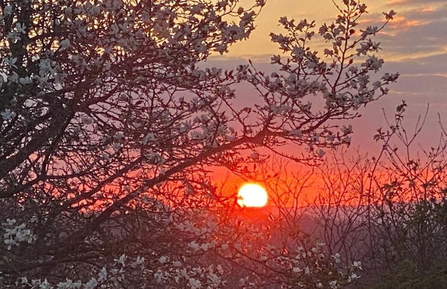 Tranquil Cabin Retreat Near Chepstow - Foto 11