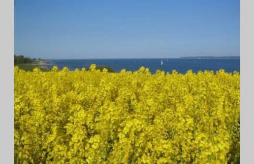 Gut Hohenstein - Stellmacherhaus - Foto 7