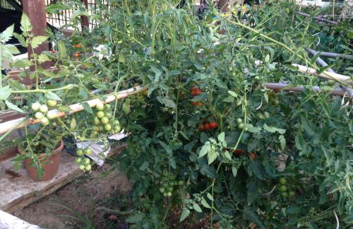 Elysion point Apartment - Foto 4