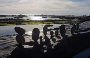 Bela Vista - Foto 22