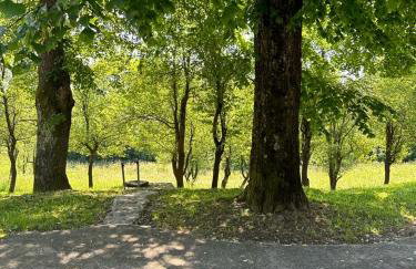 Apartments Jezerce 28 - Foto 20