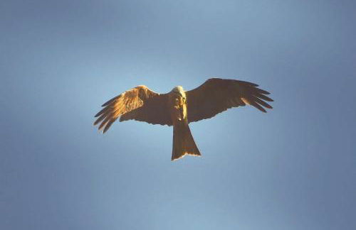 Chalet maisonette dans hameau calme - Foto 21